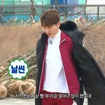 [세븐틴] 고잉팀 승관이 <b>버피</b>할때 자막 감동이다...