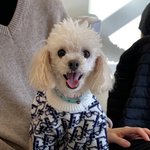 [더보이즈] <b>보리</b> 이 사진