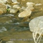 [NCT드림] 맠으 런지니 칠링드2에서 또 <b>산책</b>가세요