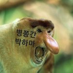 아오!