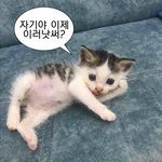 밤 샐사람 ?? 진짜