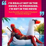 <b>마블</b> 팬들이 진짜 이젠 절대로 안믿는말