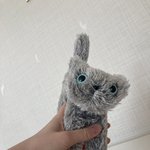 [더보이즈] 나 <b>숄더</b>캣 샀음