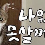 얘 자는것 봐