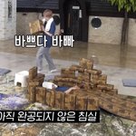 [엔하이픈] 엔잼민픈 <b>바이브</b>