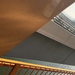 <b>갈색</b>으로 염색할건데