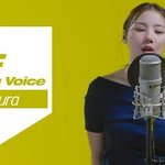 [드루와] 킬링보이스&amp;<b>벌스</b> 영상 추천!!(주관적)