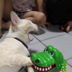 <b>무리</b>서열 낮은 남친 만나지 말아라 ㅅㅂ