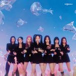 서로 닮았다고 얘기나오는 신인 여돌