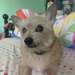 간식 준다<b>더니</b>.. 이러려고 나 불렀니?