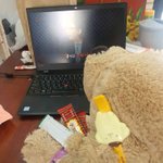 <b>이케아</b>강아지 귀엽져