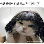 [19] 갓슴살인데 집이 나랑 안 맞는데도 자취는