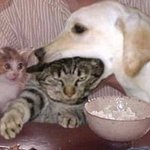 <b>방탈출</b> 알바 궁물받음!!