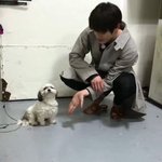 [이태용] <b>남친</b>짤4