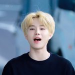[NCT칠프] 당신은 아기강아지를 <b>마주</b>쳣습니다