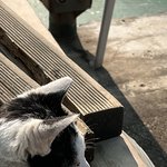 [드루와] intj <b>enfj</b> 궁합어때!!