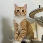 얘 왜케 <b>멍청</b>하게 생겻냐