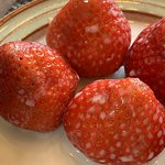 딸기에 <b>연유</b> 뿌려 먹는 거 ㅈㄴ 맛있다