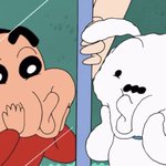 너네집 <b>댕댕이들</b>도 기지개 펼 때