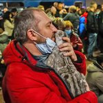 [드루와] 전쟁나면 <b>반려동물</b> 버리는게맞다니 뭐라니 글 쳐싸지르지마