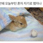 아이돌들 <b>연차</b> 쓰면 안됨