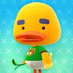 [엔하이픈] 니키 닮긴 닮았어