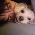 [더보이즈] 보기만해도 힐링된다