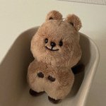 [NCT칠프] 집에 쩡카 있는데 엄마가 보고 이게 뭐냐길래