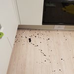 [꼭조언부탁] <b>빌트인</b> 전자레인지,오븐 이용중 터져버렸는데요