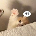 [ㅈㄱㄴ] 백신안맞으면 학교갈때 맨날 자가<b>키트</b>해야돼?