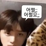 [더보이즈] 1~3만원대 예쁜 선우 포카 ㅊㅊ 좀