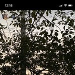 인스타 스토리 <b>하트</b> 이거 누르면
