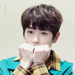 [더보이즈] 널아프게하는것들 콕콕찔러보는애들