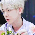 220214 백현 큥튜브 변치 않는 사랑｜<b>밸런타인데이</b> 꽃꽂이.gif