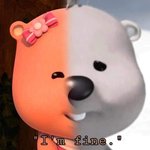 [댓글부탁해] 20키로 찐 후기