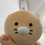 [드루와] 아 <b>베라</b> 보냉백 300원추가했는데 안왔음