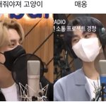 [엔하이픈] 정원이 <b>숙소</b>가면 고양이로 변하는거 아님?
