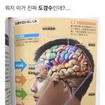 [드루와] 학교에서 쓸 <b>방석</b> 추천해주면 수능1등급