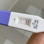 [댓글부탁해] 임신테스<b>트기</b> 2줄 떴어 도와줘...