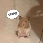 [댓글부탁해] 너네는 너네 전썸남이 너네 친구랑 연락하면