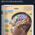 열라 웃기네 이거 그냥 <b>순정</b> 찍을 당시 도경수잖아