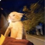 야 나 버스탔는데 도와줘...
