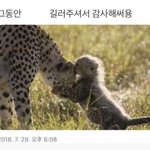 [댓글부탁해] 고3 되면 학교 잘 <b>안</b><b>가</b>??