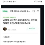 버려진 아기고양이 나비 <b>입양</b>일지