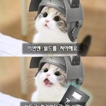 [댓글부탁해] 너희들 <b>남</b>들한테 너희 취향 무시하는 <b>말</b> 들어봄?