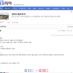 펨코 네이트판 여론조작 증거