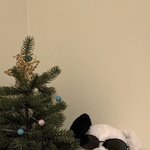 [NCT] 얘들아 이거 누가 <b>올린</b> 거야?