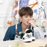 [NCT칠프] 문태일 불안한 <b>너구리</b>라고 지금