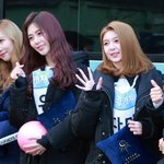 드림캐쳐 <b>다미</b>