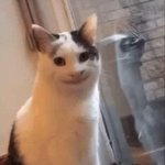 랜치 소스 좋아해서 그런지 파파<b>존스</b>